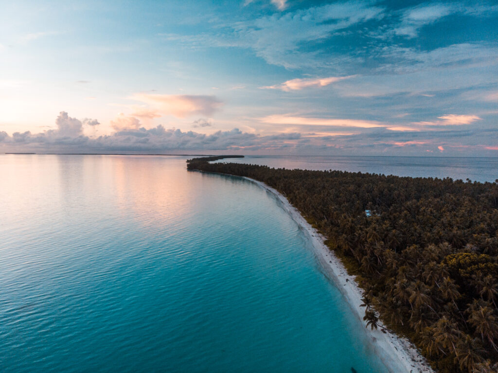 Pacific I photo 2