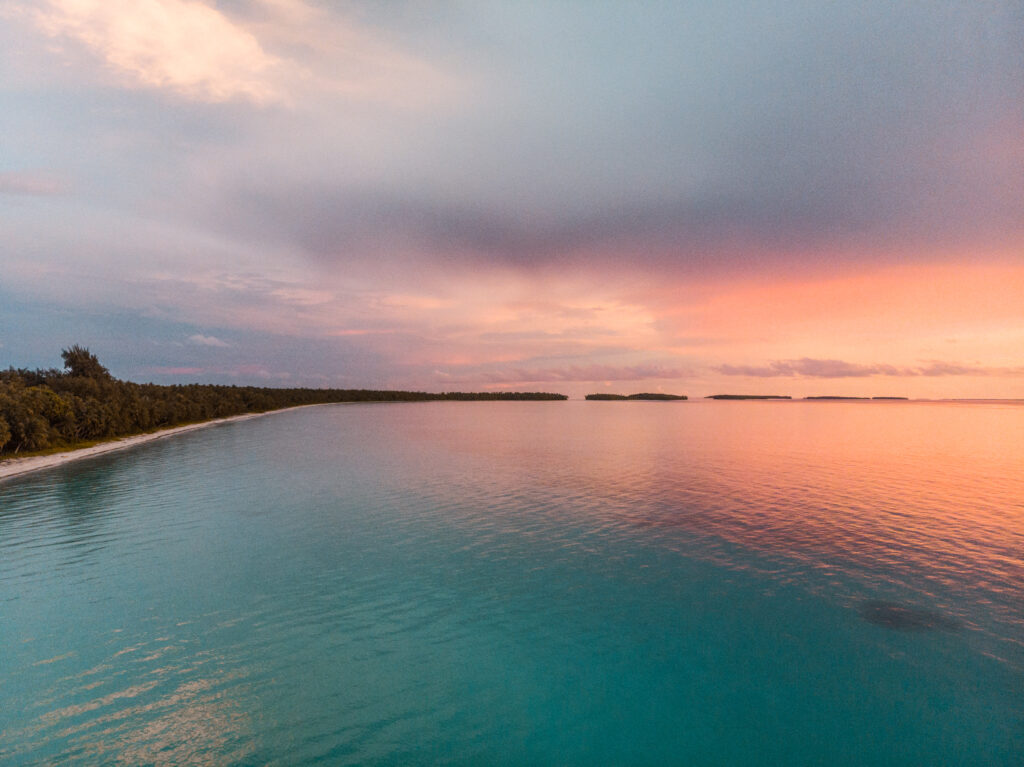 Pacific I photo 5