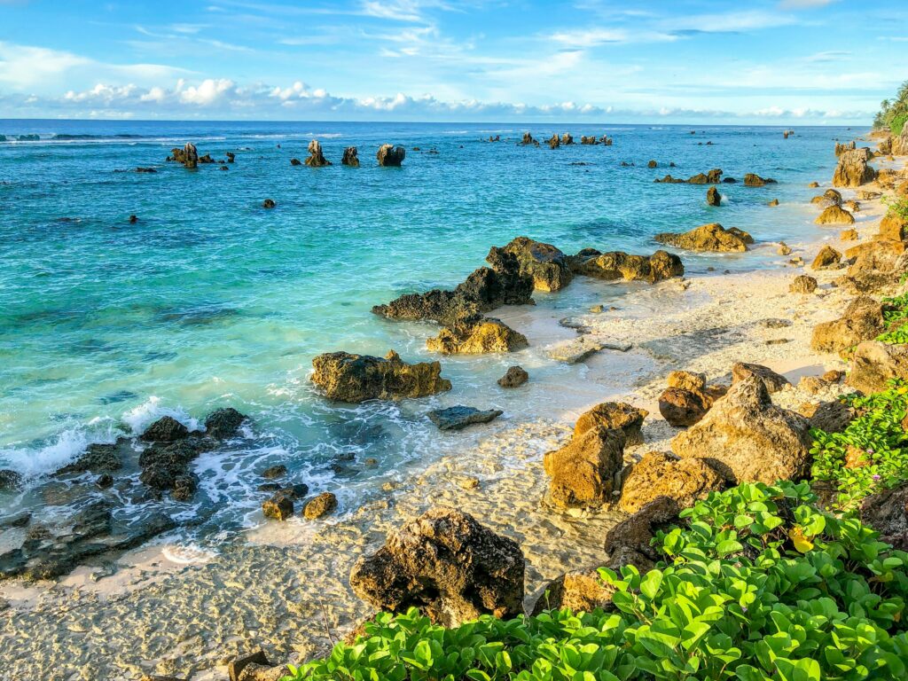 Pacific II photo 4