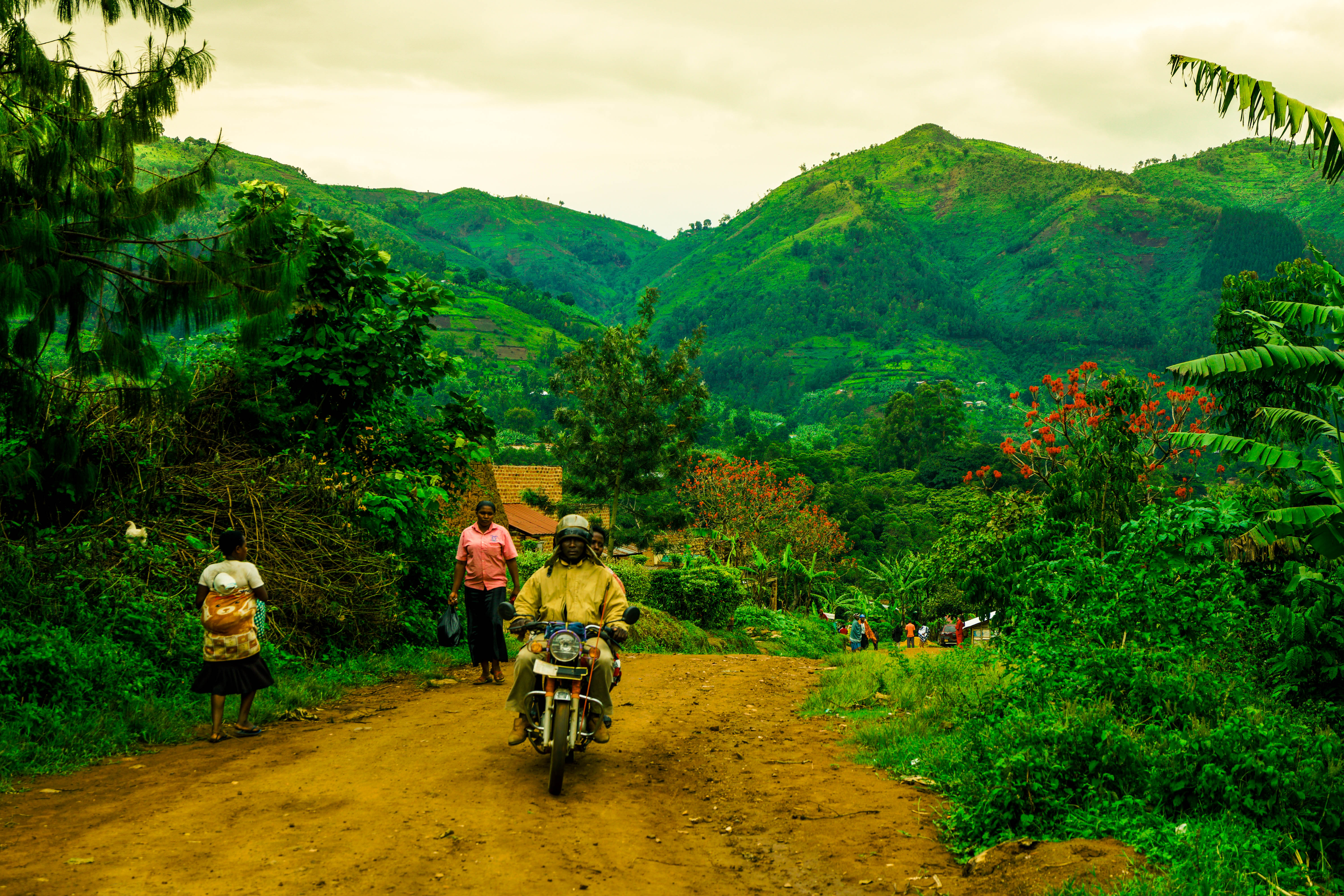 Uganda photo 6