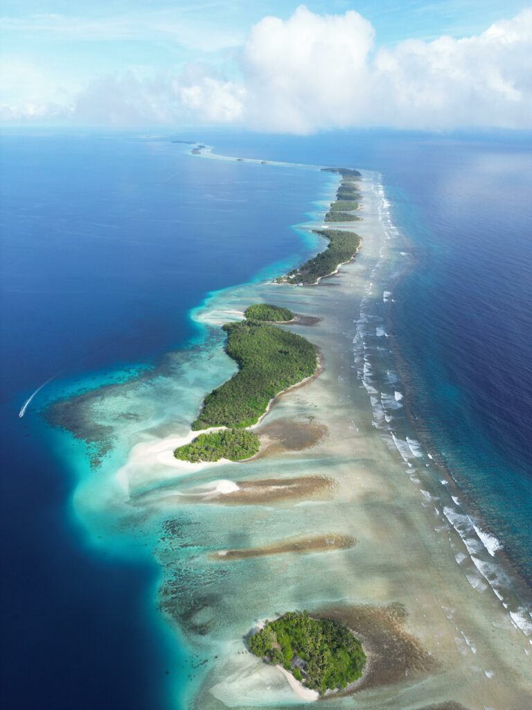 Pacific III photo 3