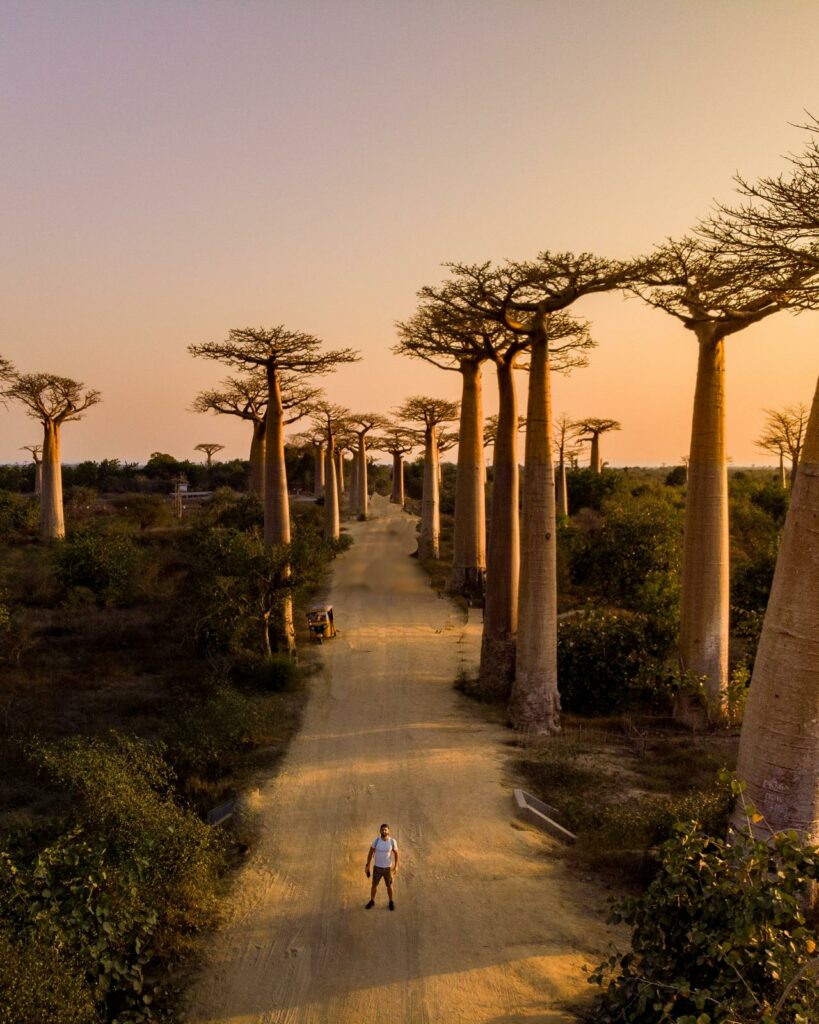 Madagascar I photo 7