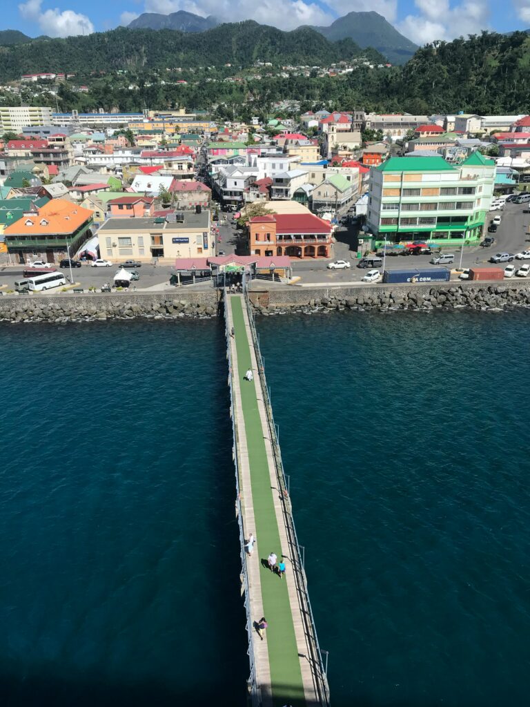 The Caribbean I photo 7