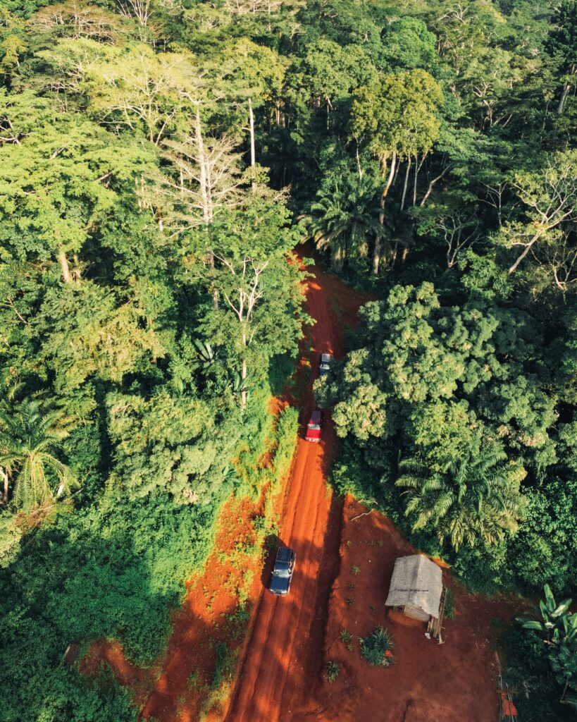 Central Africa IV photo 2
