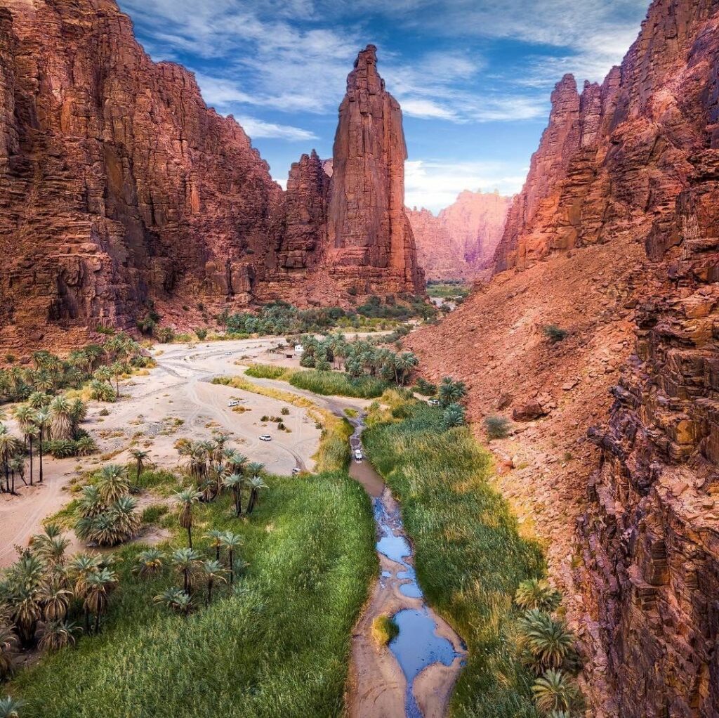 Saudi I photo 4