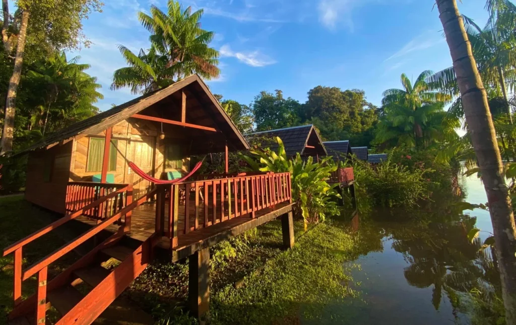 Guianas III photo 5