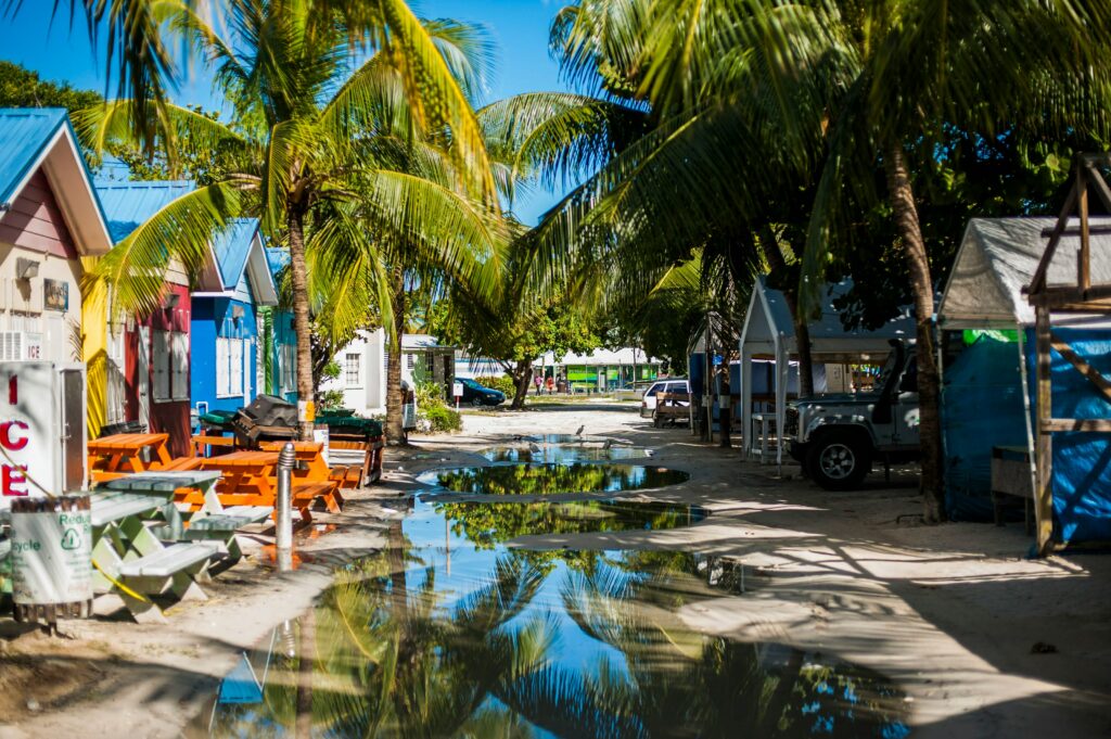 The Caribbean I photo 5